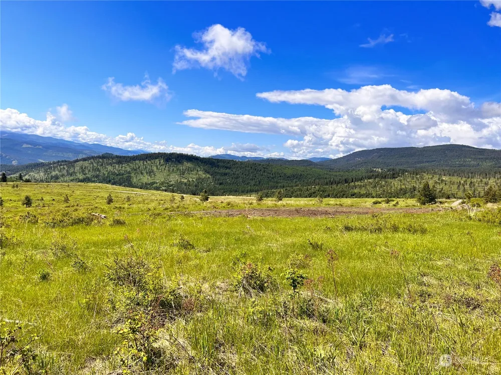 44 Moonlight Drive Curlew, WA 99118