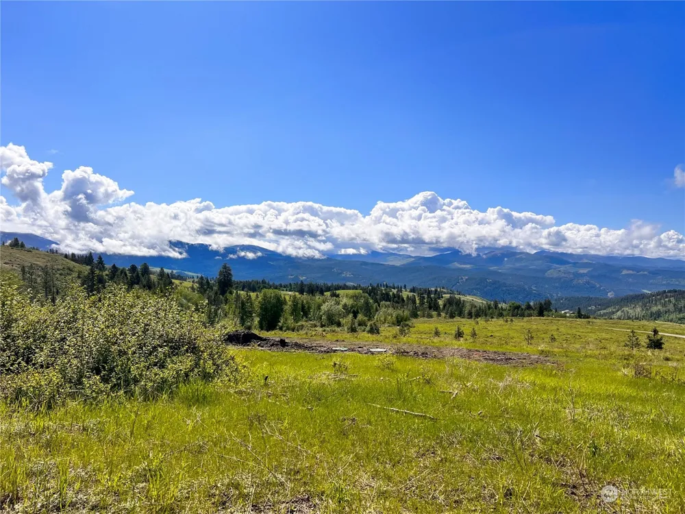44 Moonlight Drive Curlew, WA 99118