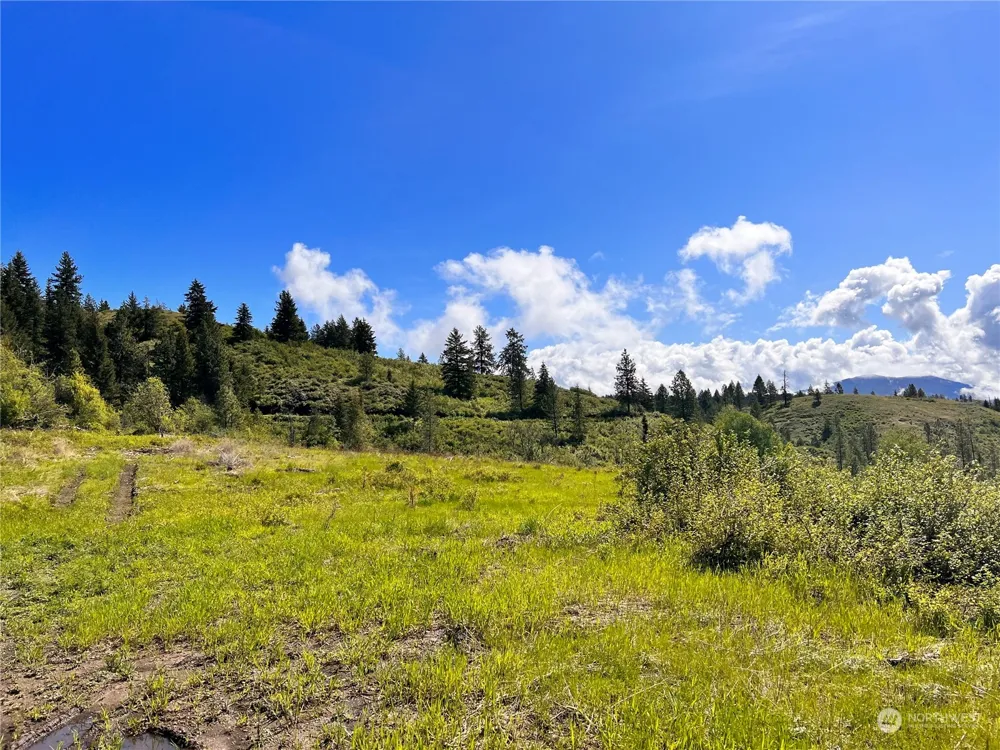 44 Moonlight Drive Curlew, WA 99118