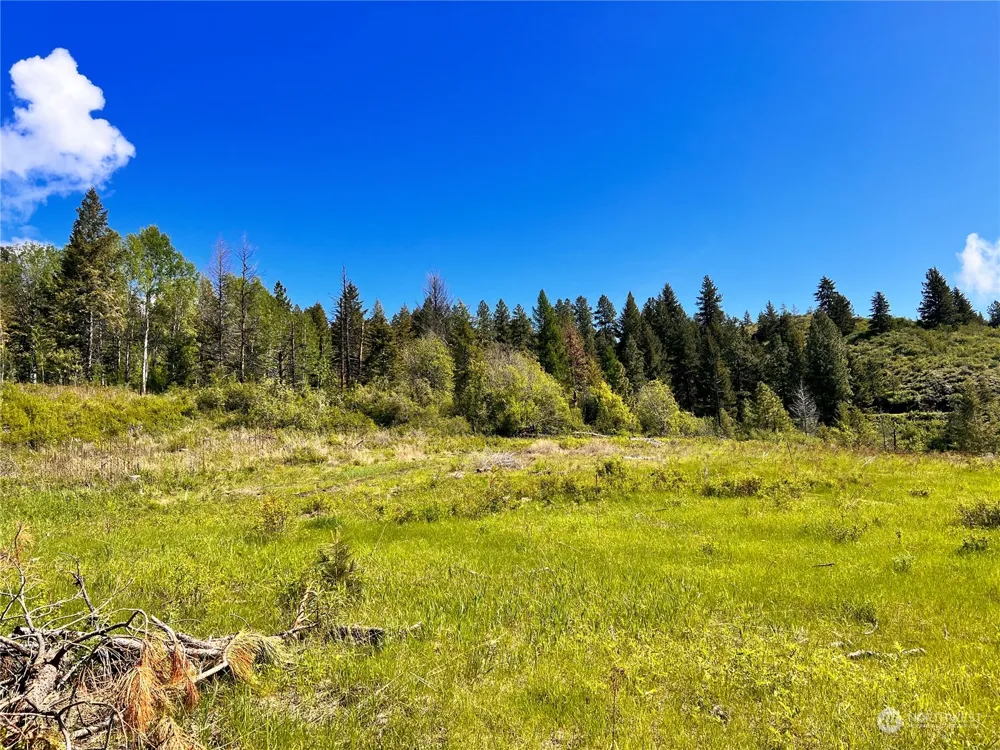 44 Moonlight Drive Curlew, WA 99118
