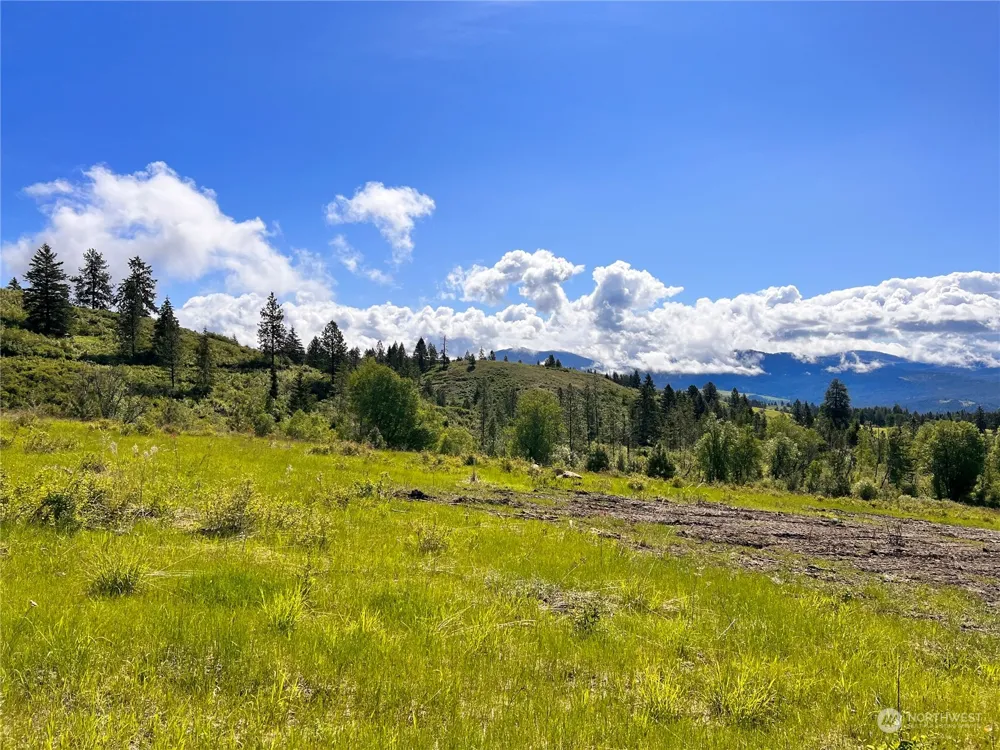 44 Moonlight Drive Curlew, WA 99118