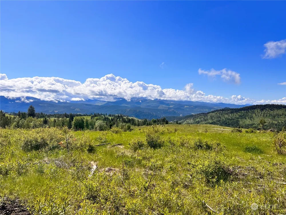 44 Moonlight Drive Curlew, WA 99118