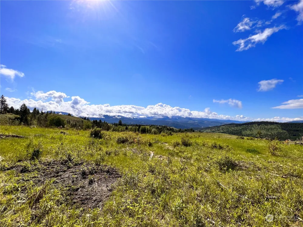 44 Moonlight Drive Curlew, WA 99118