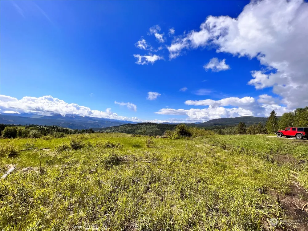 44 Moonlight Drive Curlew, WA 99118