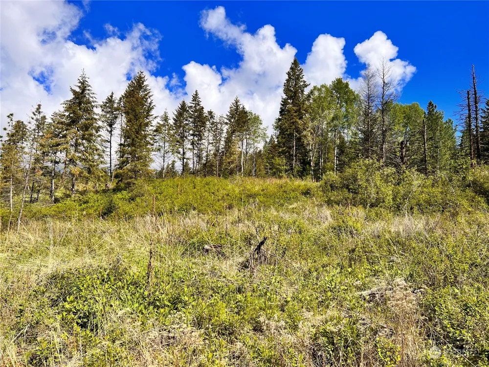 44 Moonlight Drive Curlew, WA 99118
