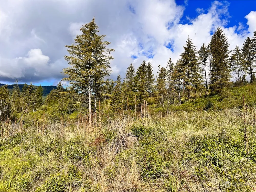 44 Moonlight Drive Curlew, WA 99118