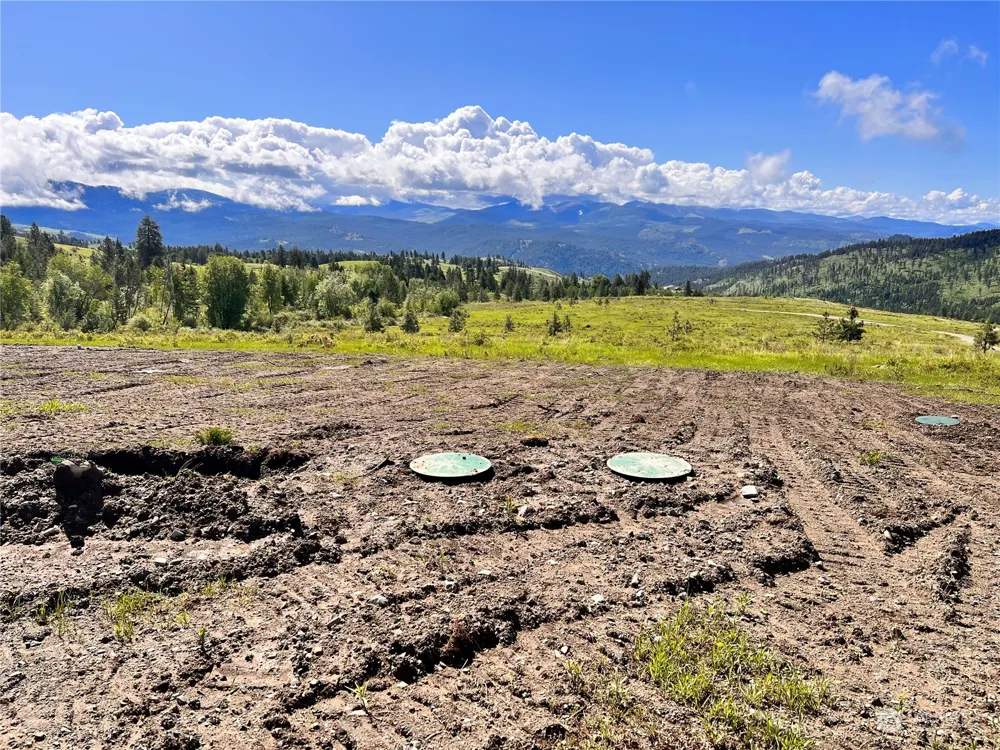44 Moonlight Drive Curlew, WA 99118