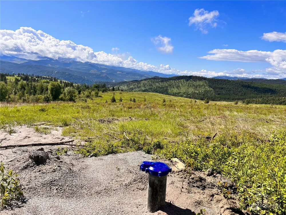 44 Moonlight Drive Curlew, WA 99118