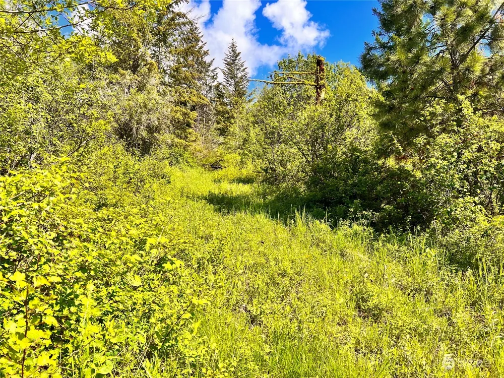 44 Moonlight Drive Curlew, WA 99118