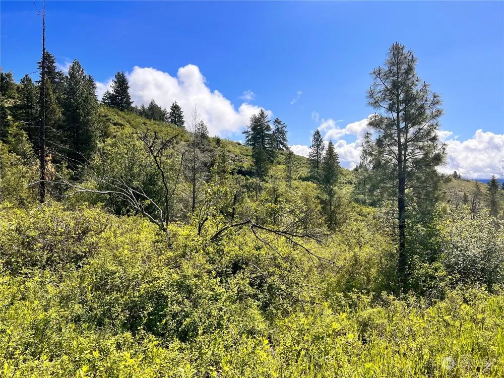 44 Moonlight Drive Curlew, WA 99118