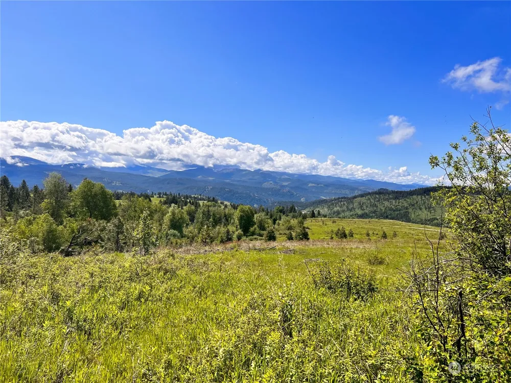 44 Moonlight Drive Curlew, WA 99118