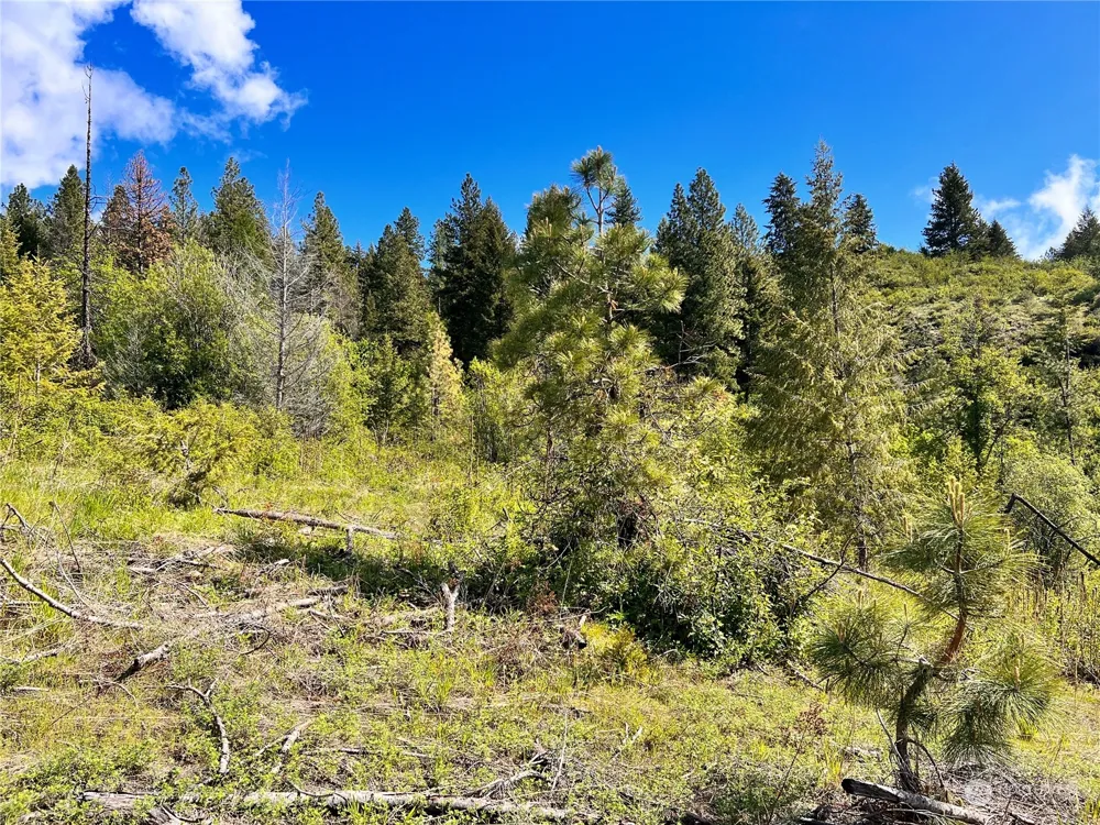 44 Moonlight Drive Curlew, WA 99118