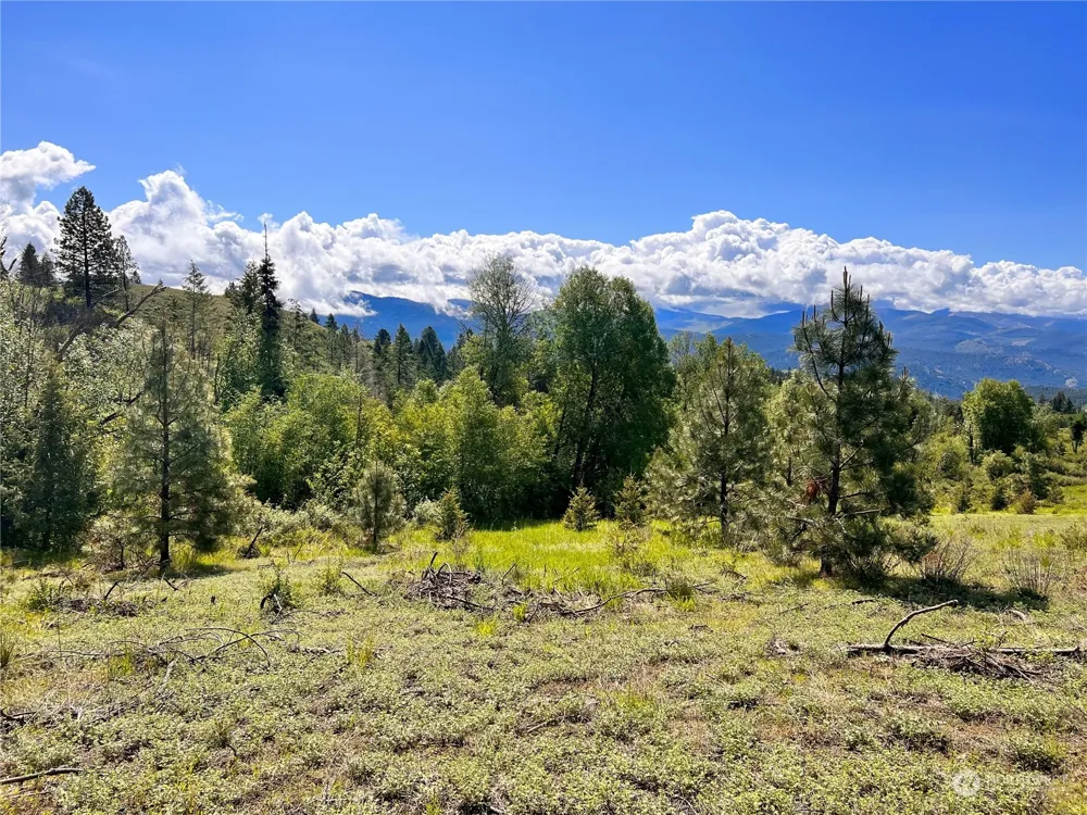 44 Moonlight Drive Curlew, WA 99118