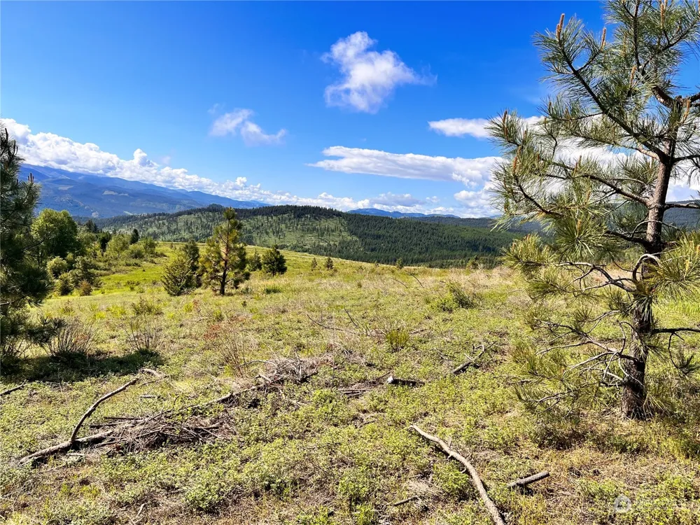 44 Moonlight Drive Curlew, WA 99118