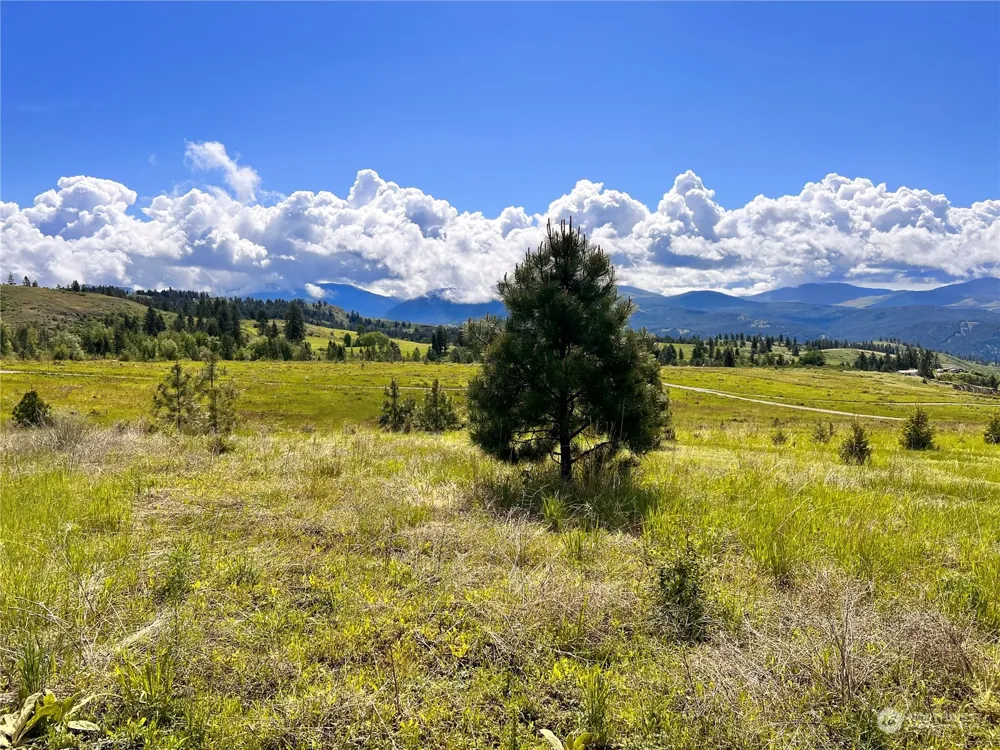 39 Moonlight Drive Curlew, WA 99118
