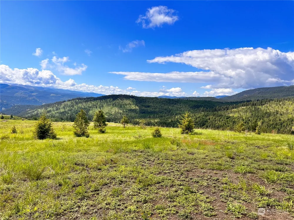 39 Moonlight Drive Curlew, WA 99118