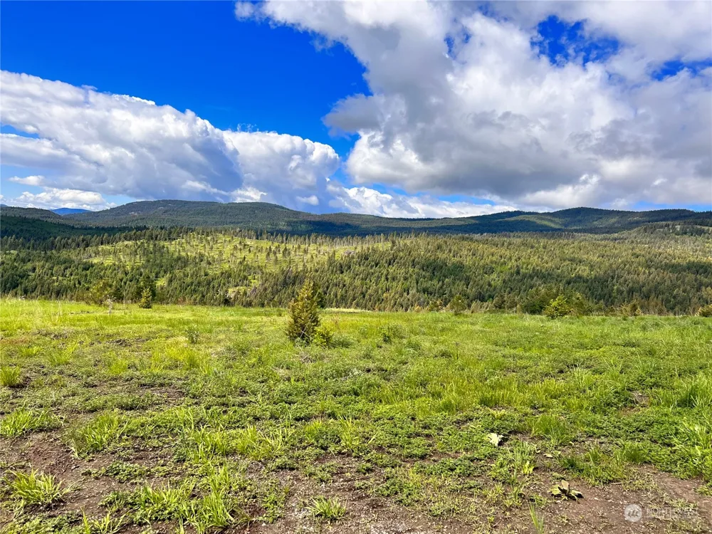 39 Moonlight Drive Curlew, WA 99118