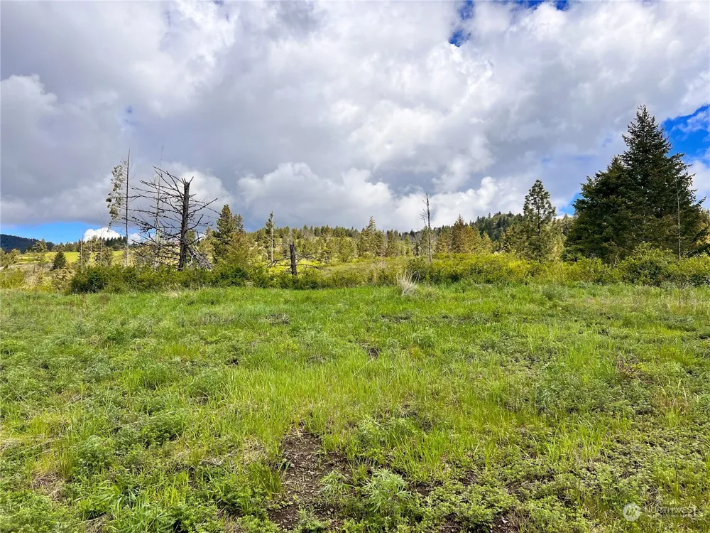 39 Moonlight Drive Curlew, WA 99118