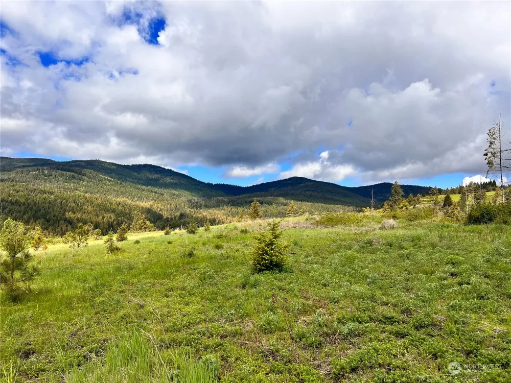 39 Moonlight Drive Curlew, WA 99118