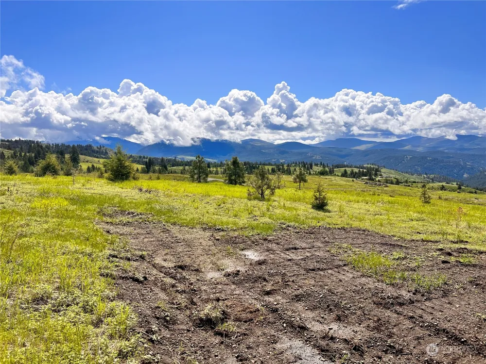 39 Moonlight Drive Curlew, WA 99118