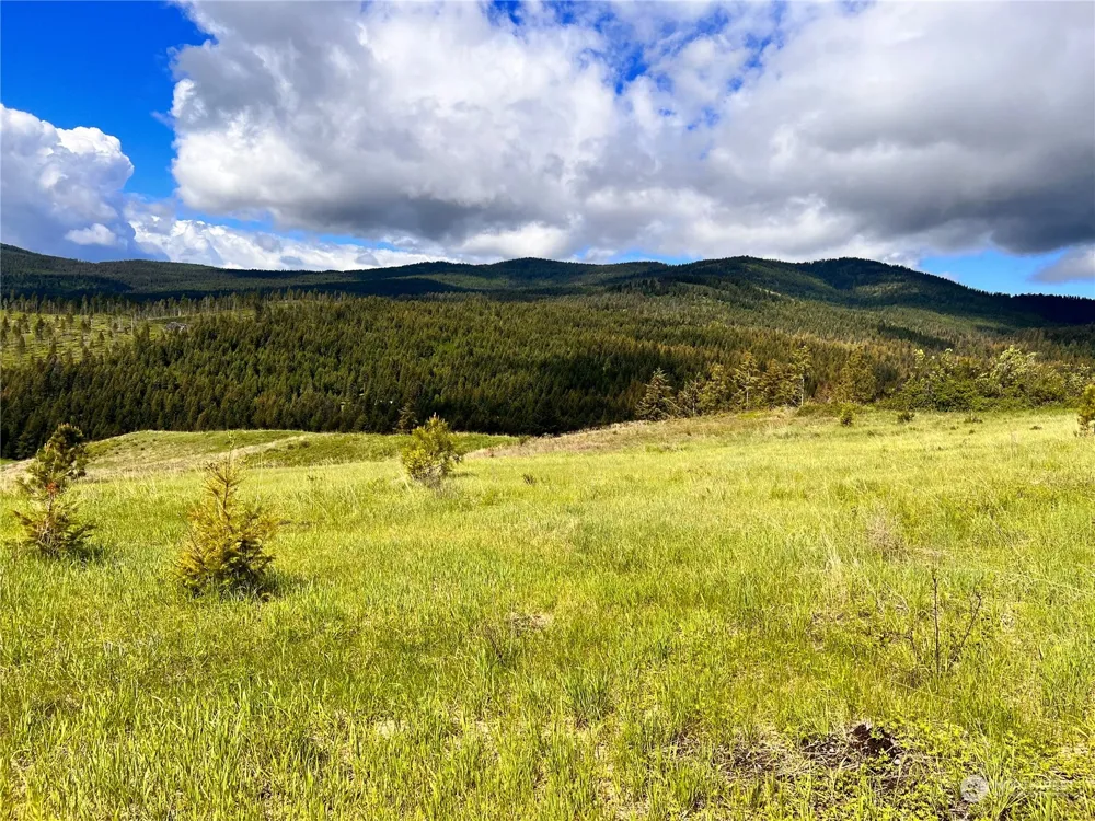 39 Moonlight Drive Curlew, WA 99118