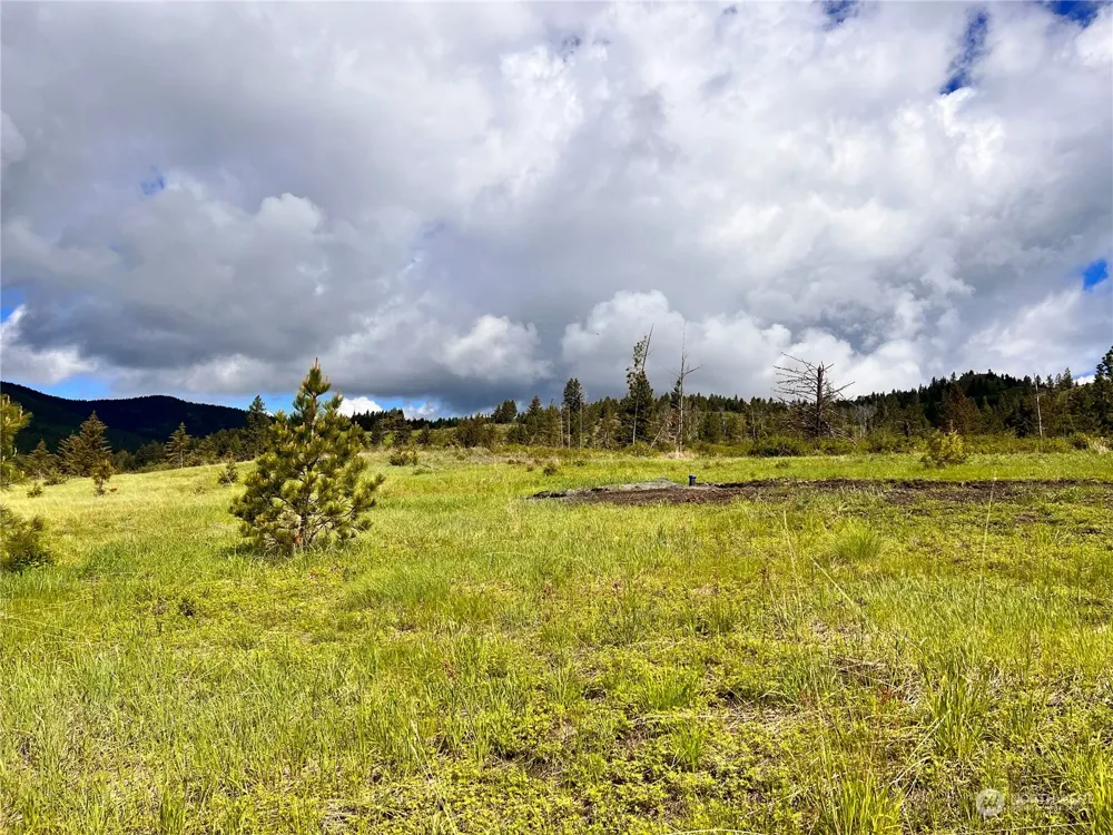 39 Moonlight Drive Curlew, WA 99118