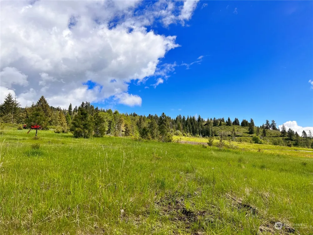 39 Moonlight Drive Curlew, WA 99118