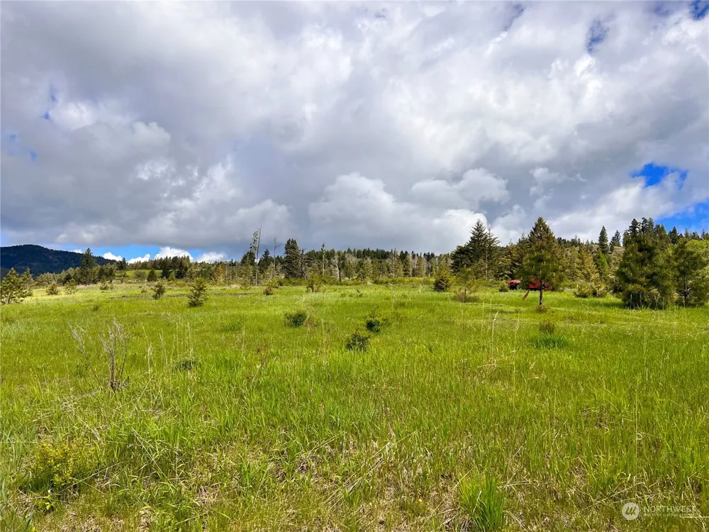 39 Moonlight Drive Curlew, WA 99118