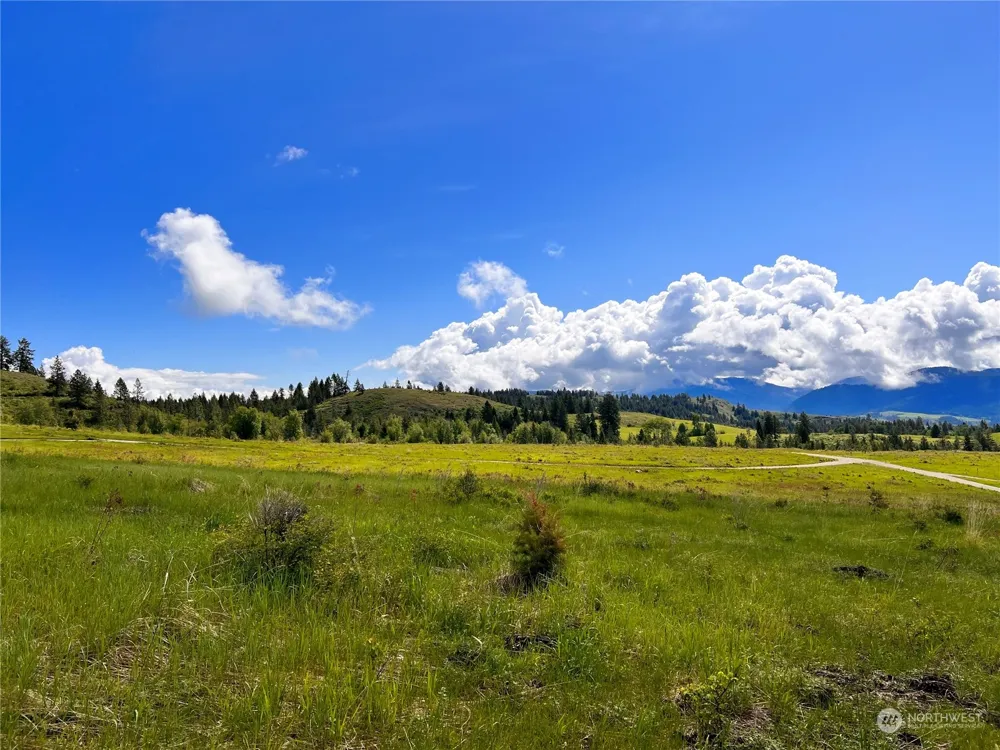 39 Moonlight Drive Curlew, WA 99118
