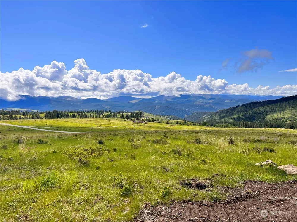 39 Moonlight Drive Curlew, WA 99118