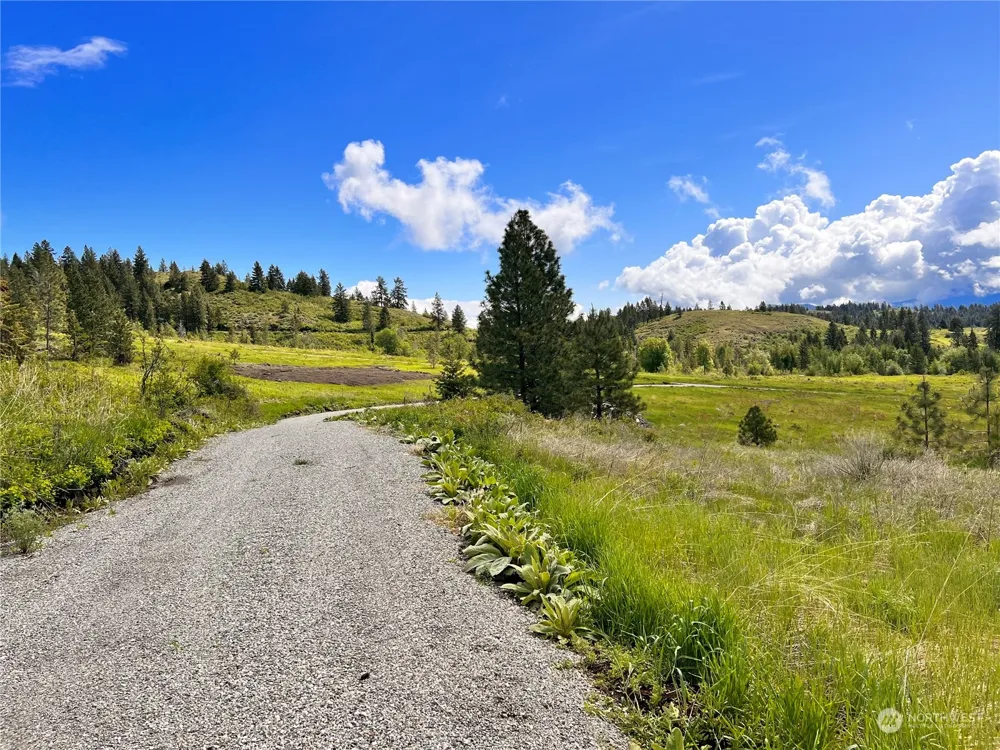 39 Moonlight Drive Curlew, WA 99118