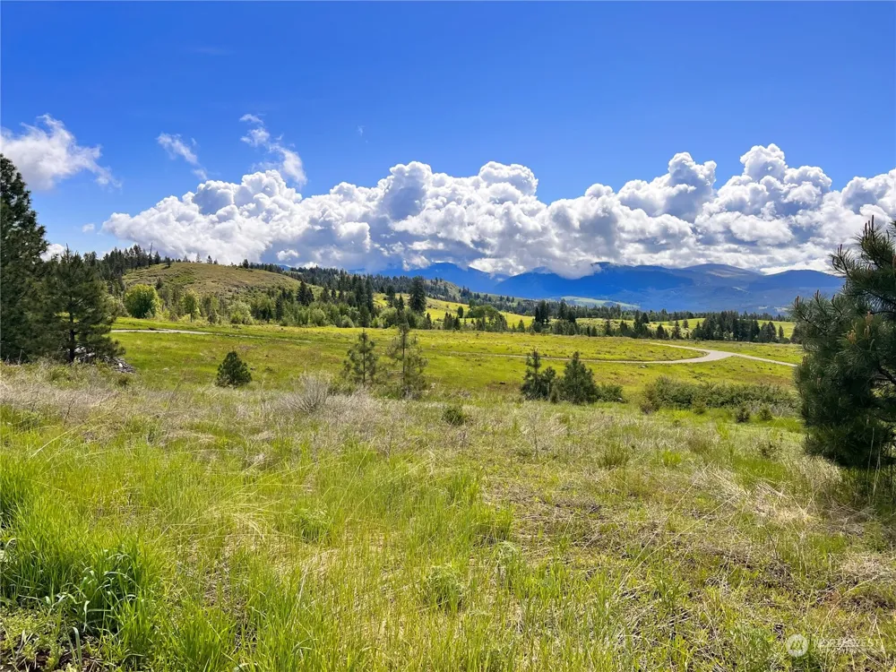 39 Moonlight Drive Curlew, WA 99118