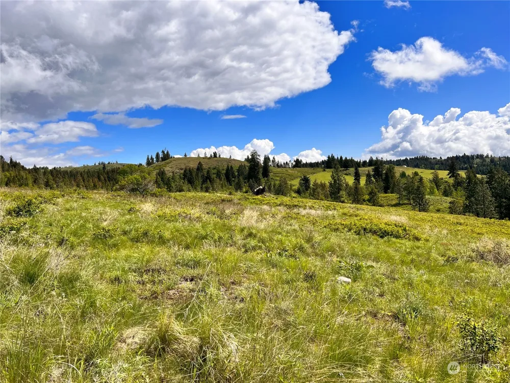 27 Moonlight Drive Curlew, WA 99118