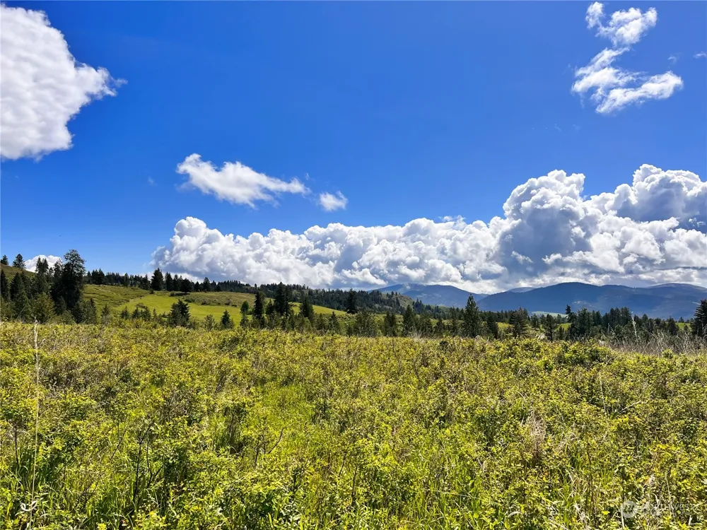 27 Moonlight Drive Curlew, WA 99118
