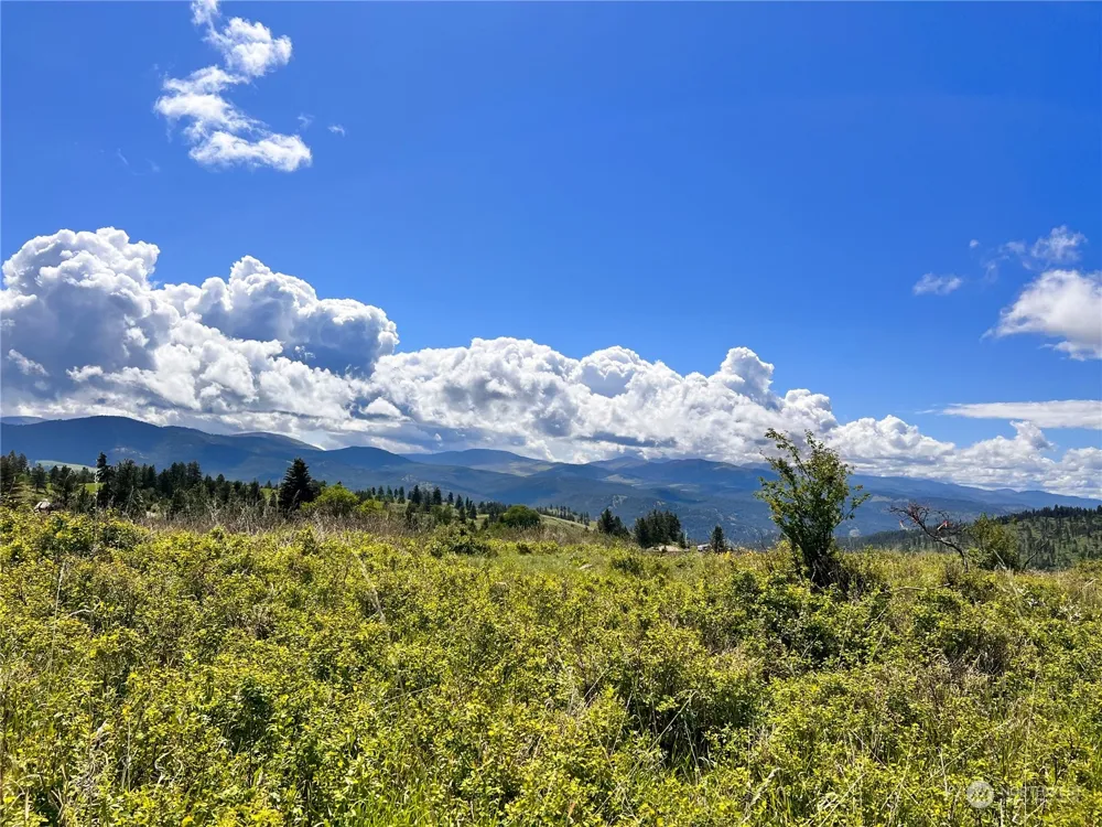 27 Moonlight Drive Curlew, WA 99118