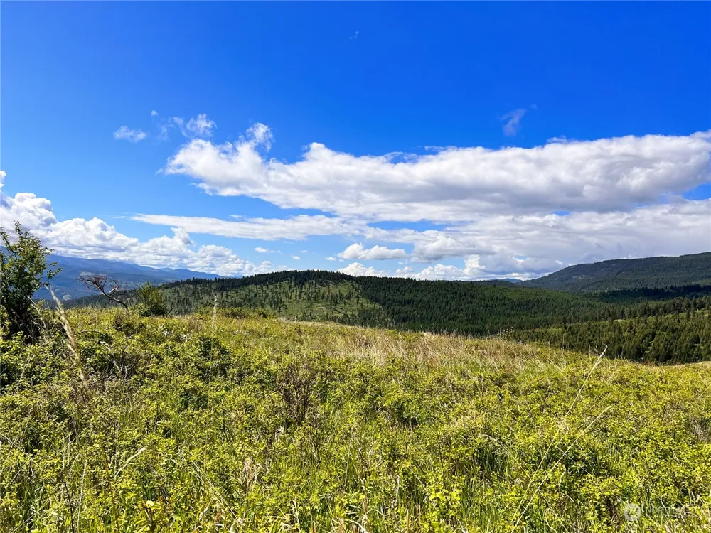 27 Moonlight Drive Curlew, WA 99118