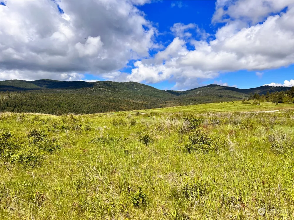 27 Moonlight Drive Curlew, WA 99118