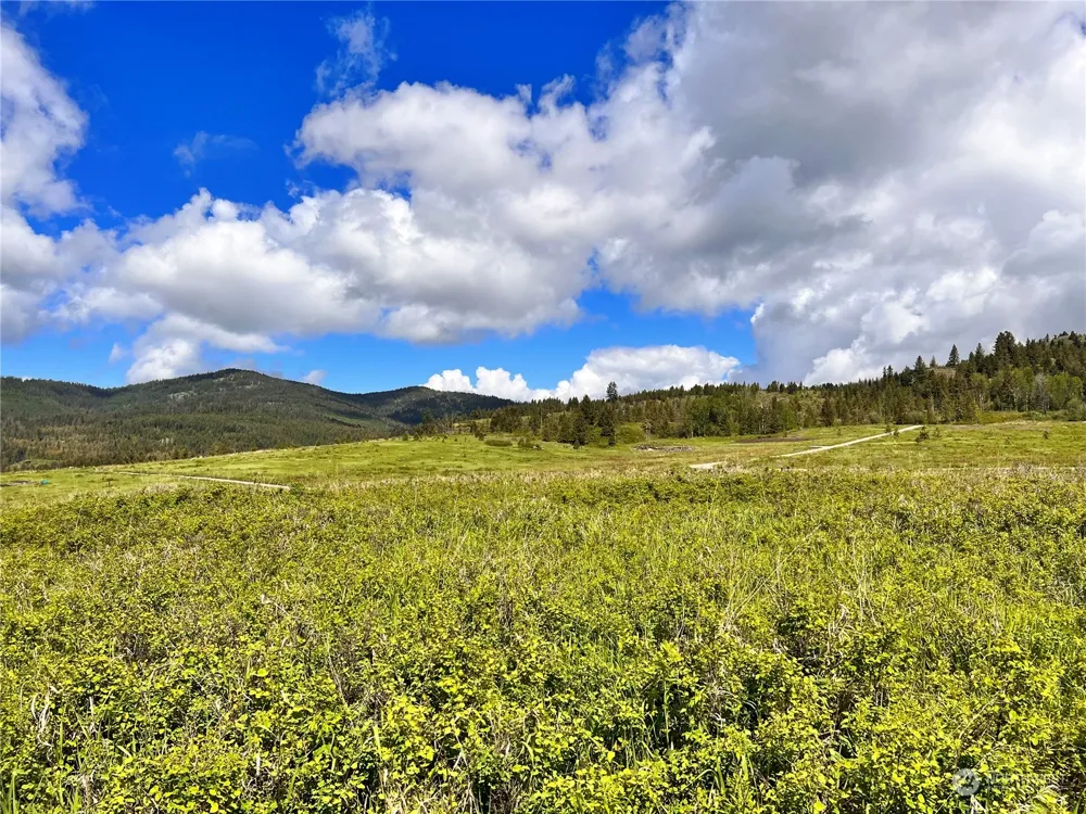 27 Moonlight Drive Curlew, WA 99118