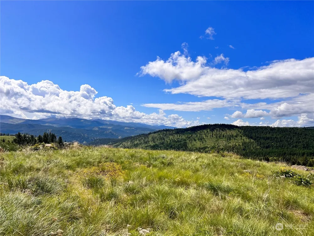 27 Moonlight Drive Curlew, WA 99118