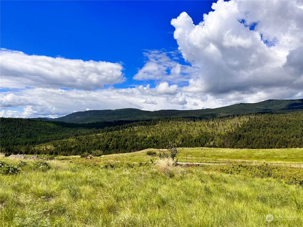 27 Moonlight Drive Curlew, WA 99118