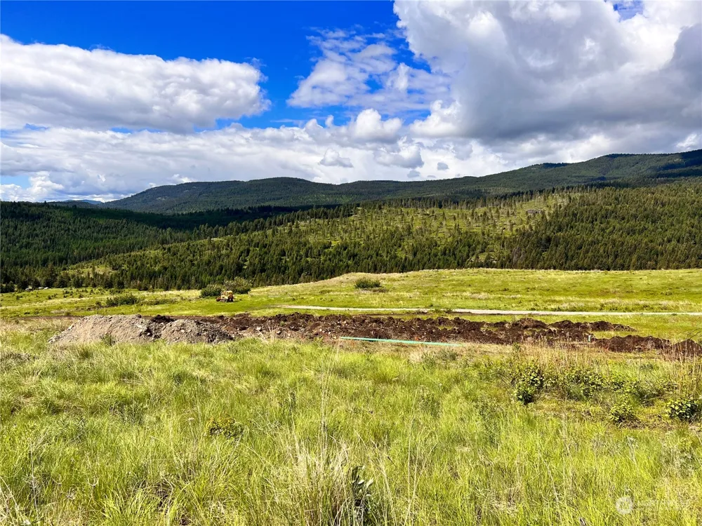 27 Moonlight Drive Curlew, WA 99118