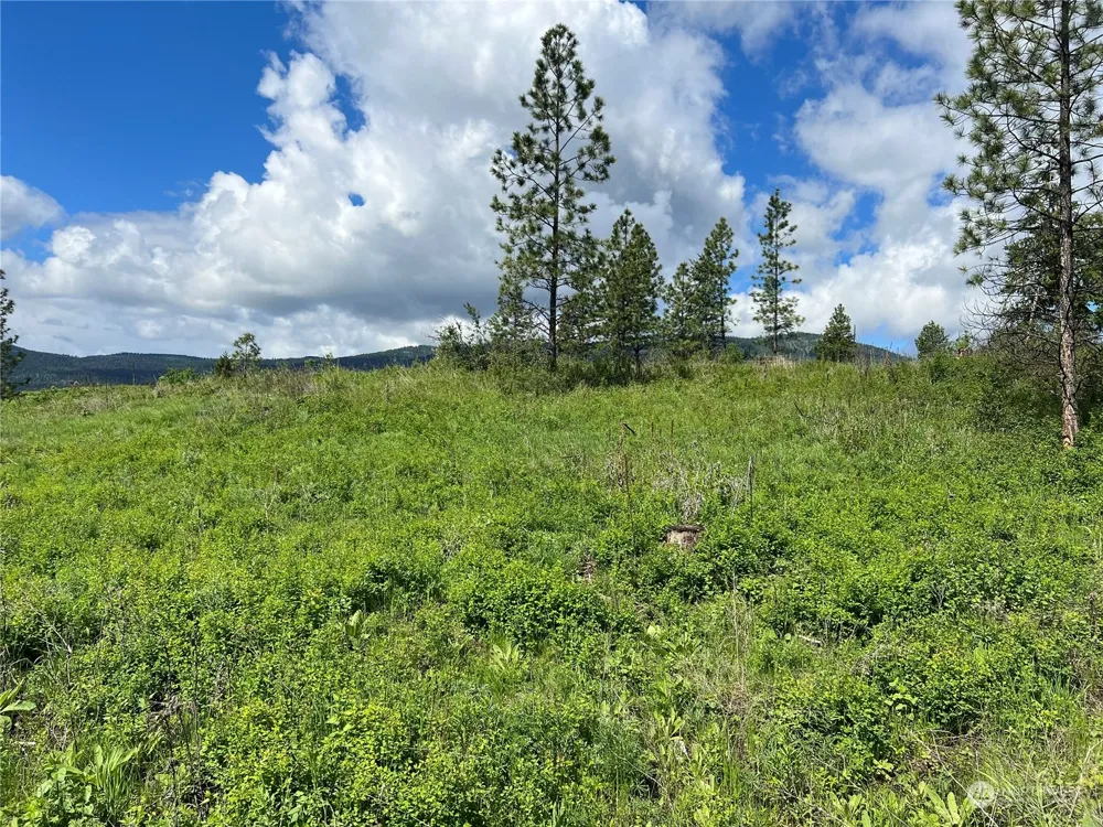 27 Moonlight Drive Curlew, WA 99118