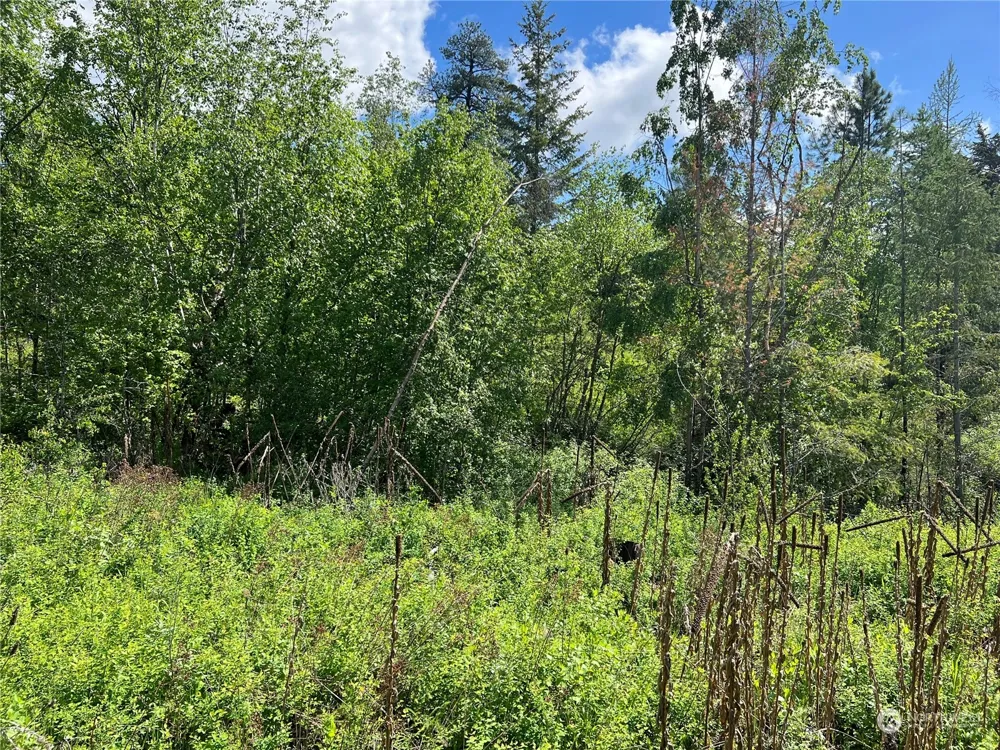 27 Moonlight Drive Curlew, WA 99118