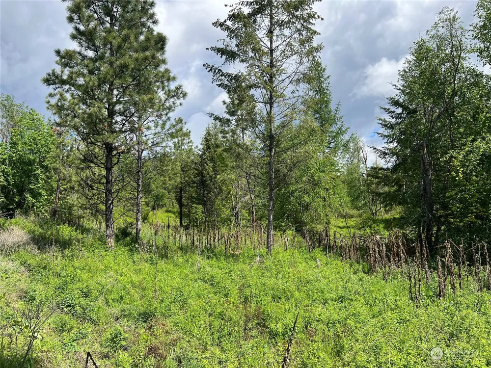 27 Moonlight Drive Curlew, WA 99118