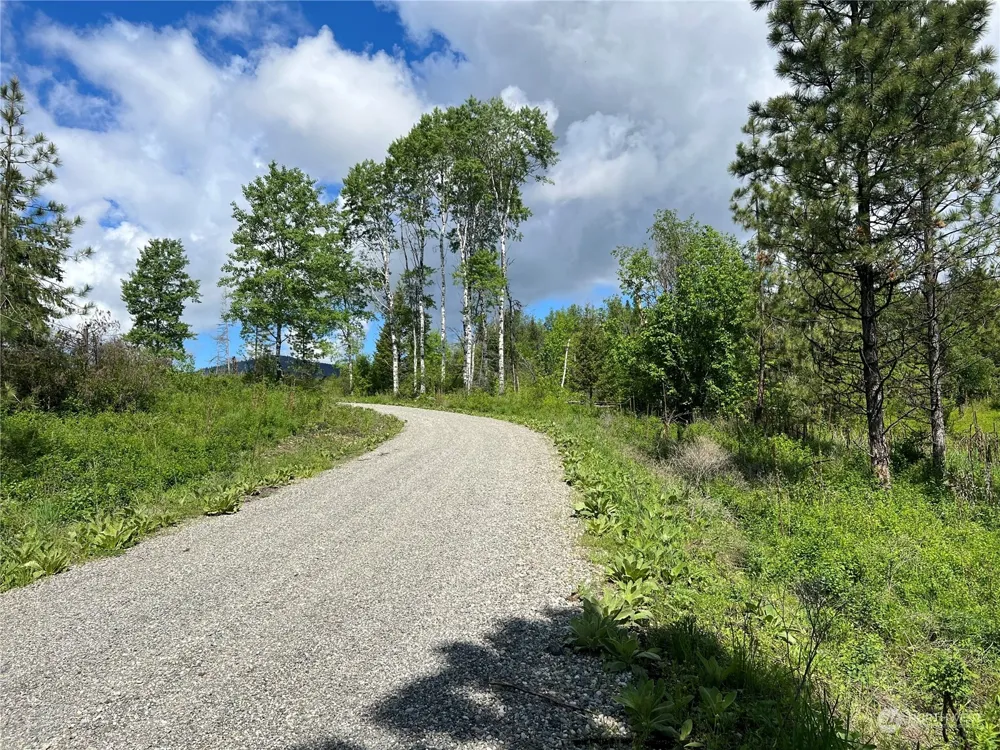 27 Moonlight Drive Curlew, WA 99118