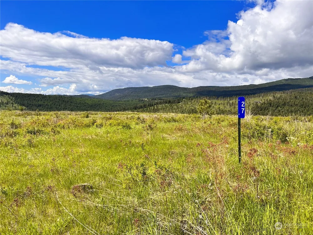 27 Moonlight Drive Curlew, WA 99118