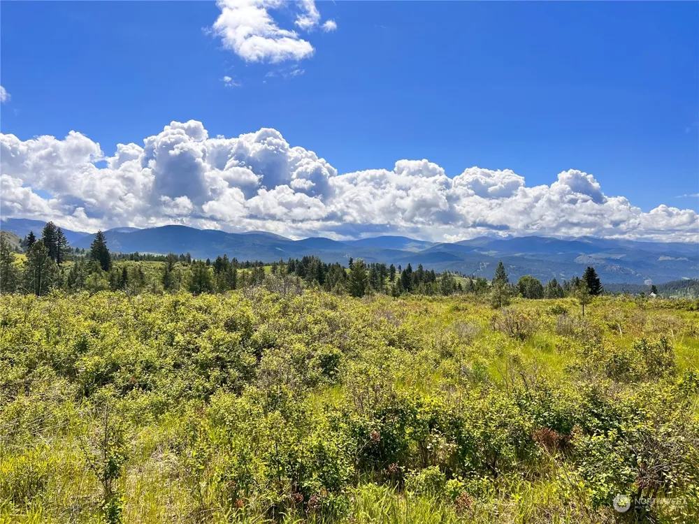 27 Moonlight Drive Curlew, WA 99118