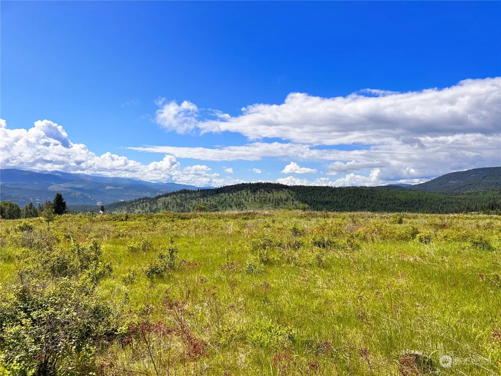 27 Moonlight Drive Curlew, WA 99118