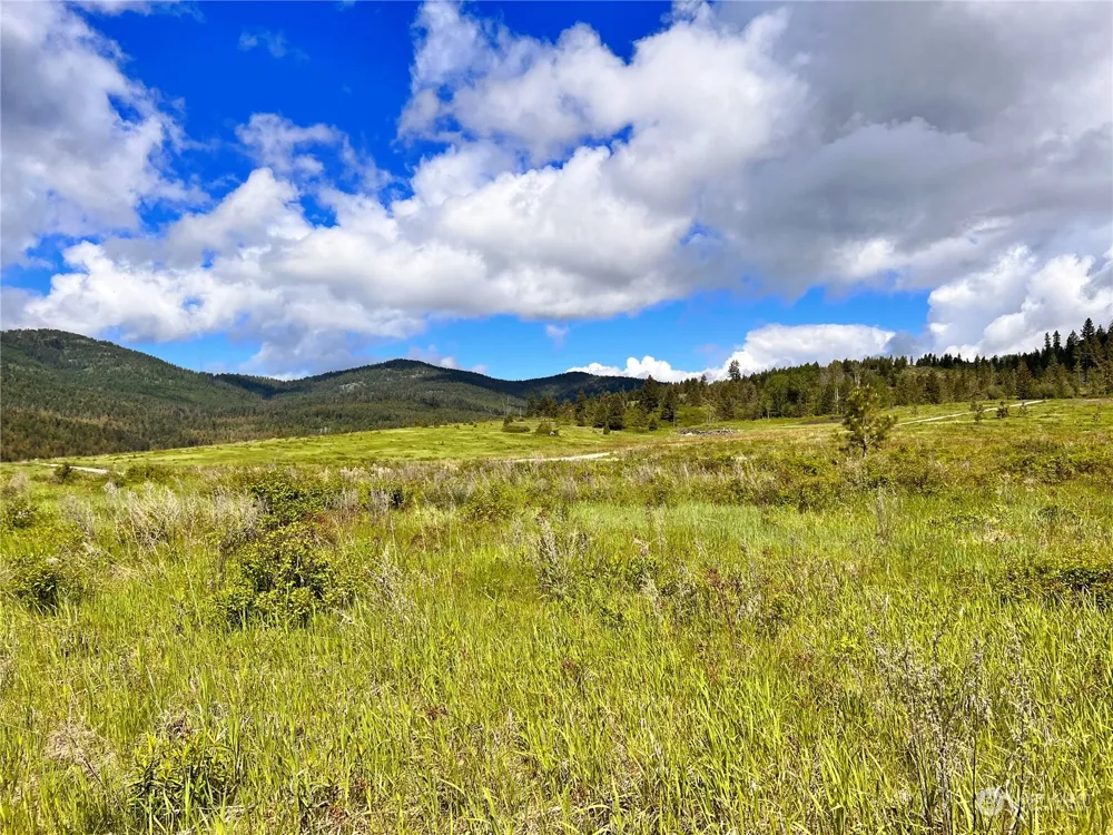 27 Moonlight Drive Curlew, WA 99118