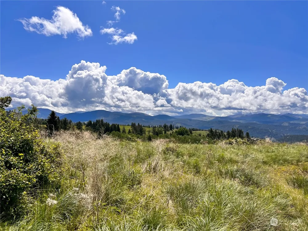 27 Moonlight Drive Curlew, WA 99118